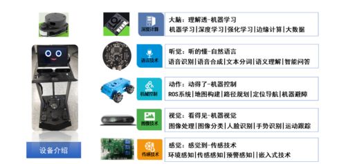 一睹為快 實(shí)驗(yàn)室再度上新，探索人工智能通用應(yīng)用系統(tǒng)的新前沿